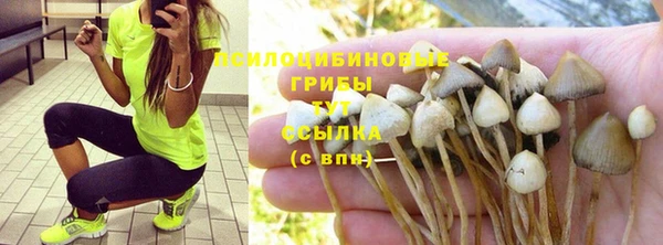 прущие крисы Коряжма