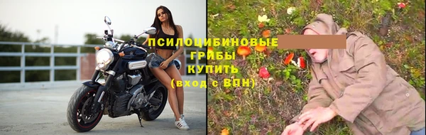 прущие крисы Коряжма