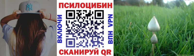 Купить где  Билибино  Галлюциногенные грибы Psilocybine cubensis 